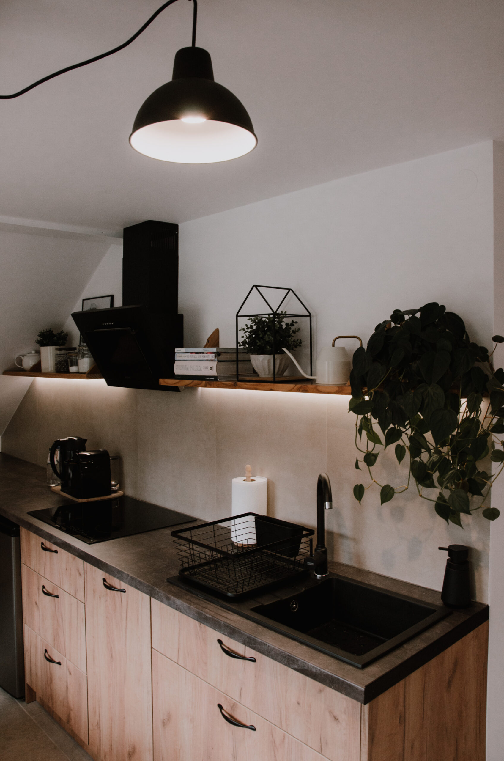 Apartament_zdrojowy_kuchnia